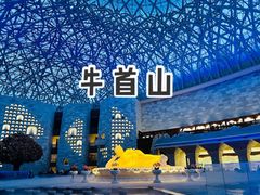 -牛首山文化旅游区