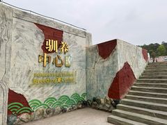 -广东惠东海龟国家级自然保护区