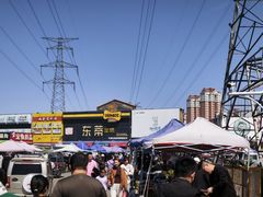 -中环花鸟鱼虫市场