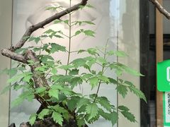 -大芬美术馆