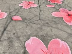 -高东镇樱花园