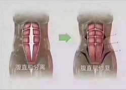 点击看大图 -薇薇安花系SPA