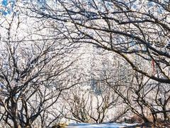 -广州市流溪河国家森林公园