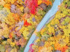 -叠溪松坪沟景区