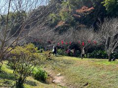 -广州市白云山风景名胜区