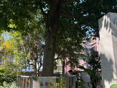 -广州神农草堂中医药博物馆