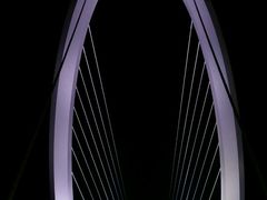 景点-南京眼步行桥