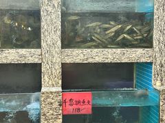 -小骨煲金华砂锅(转塘金街美地店)