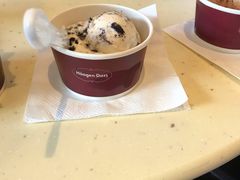 -哈根达斯(西安北郊店)