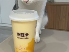 -卡旺卡(合肥步行街韵淮阁店)