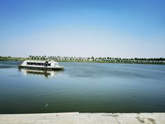 -南大港湿地风景区