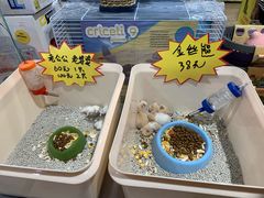 -米卢宠物公园(广华居店)