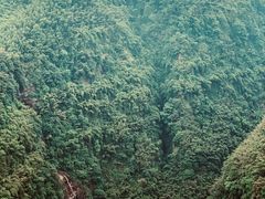 -漫山居私汤民宿全竹宴