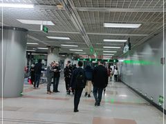 -大望路(地铁站)
