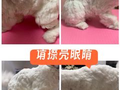 -猫苑生活馆