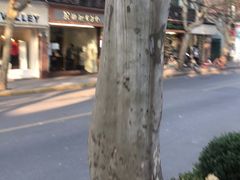 -星巴克(红房子店)