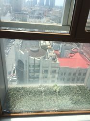 -小齐发型Star·Salon