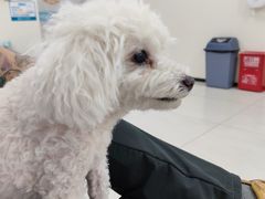 -美联众合动物医院·24h京西诊疗中心