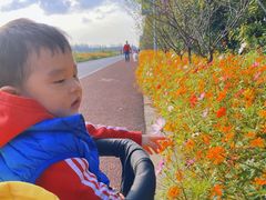 -上海长兴岛郊野公园