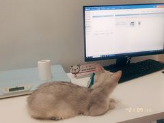 -立德动物医院·24小时中心(番禺区院区)