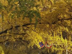 -四川大学(华西校区)