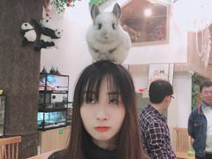 -藦茜花园宠物主题亲子互动体验馆(国顺东路店)
