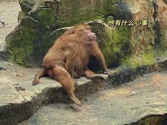 -河川生态园
