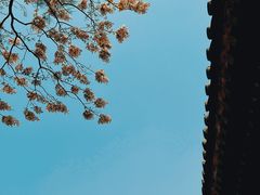 -什刹海