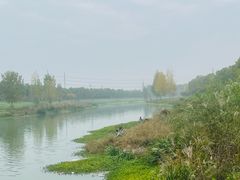 -洨河生态公园