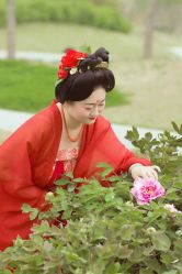 -锋歌摄影·汉服租赁·洛阳旅拍