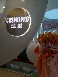 -COSMO PRO造型