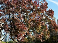 -艾溪湖湿地公园