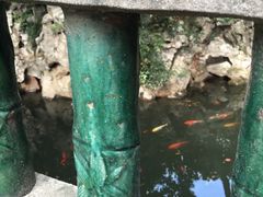 -君来梁溪饭店-餐厅