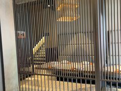 -老头儿油爆虾(胜利河美食街店)
