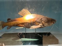 -常州海昌海洋探索馆