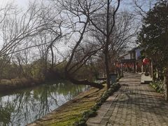 -西溪国家湿地公园