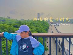 -东寨港红树林旅游区