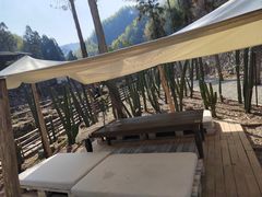 -MOJ coffee(瓯海泽雅水碓坑店)