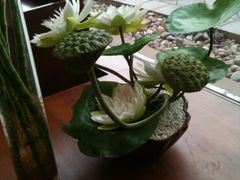 -亮马河饭店翠雅咖啡厅