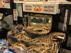 -蟹道乐(道顿堀本店)