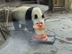 -宁波野生动物园