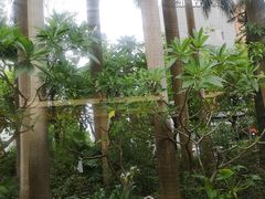 -羊故事·西北融合菜(华侨城店)