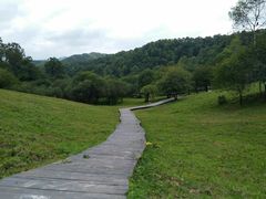 -大水川景区
