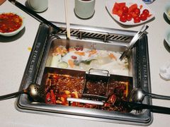 -野妹火锅(龙岗店)