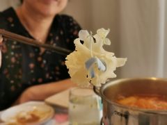 绣球菌-唐诗楼(竹林庭院店)