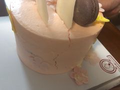 -CAKE BOSS 蛋糕老板(领展购物广场·中关村店)