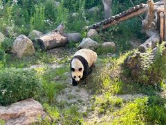 -宁波野生动物园