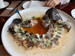 古法蒸老虎斑-民族饭店-四季餐厅