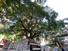 -水围村