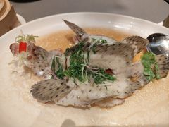 陈皮油盐蒸老鼠斑-金苑海鲜酒家(来魅力店)